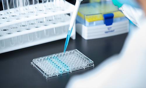 Route design and synthesis of pharmaceutical impurity reference products